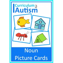 Nouns Picture Flash Cards